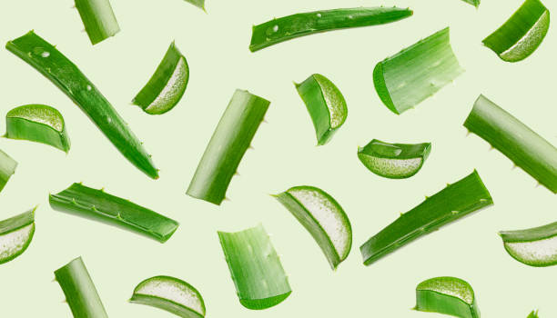 Natural Remedies for Acne Scars Using Aloe Vera