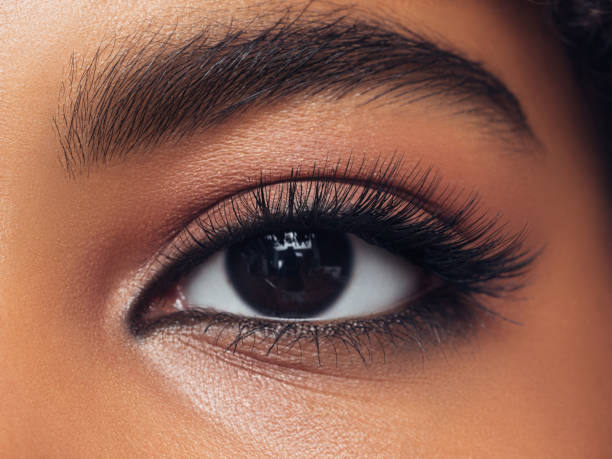 Affordable vs. Luxury: Mascara Showdown