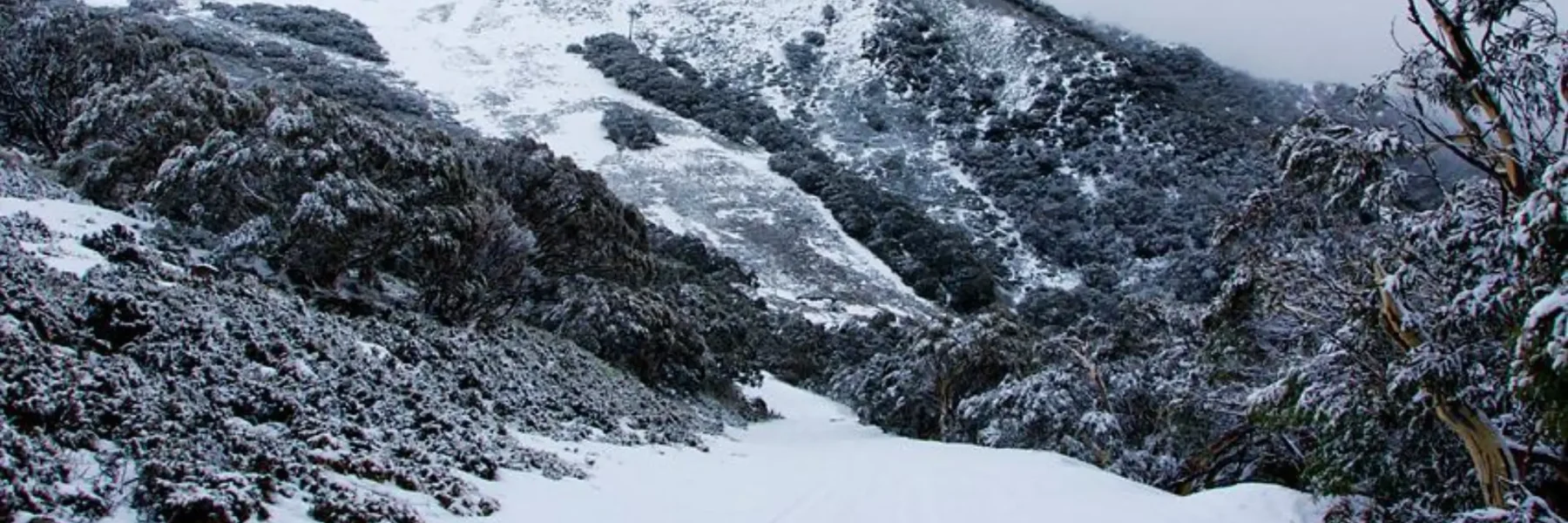 Snowboard in Australia