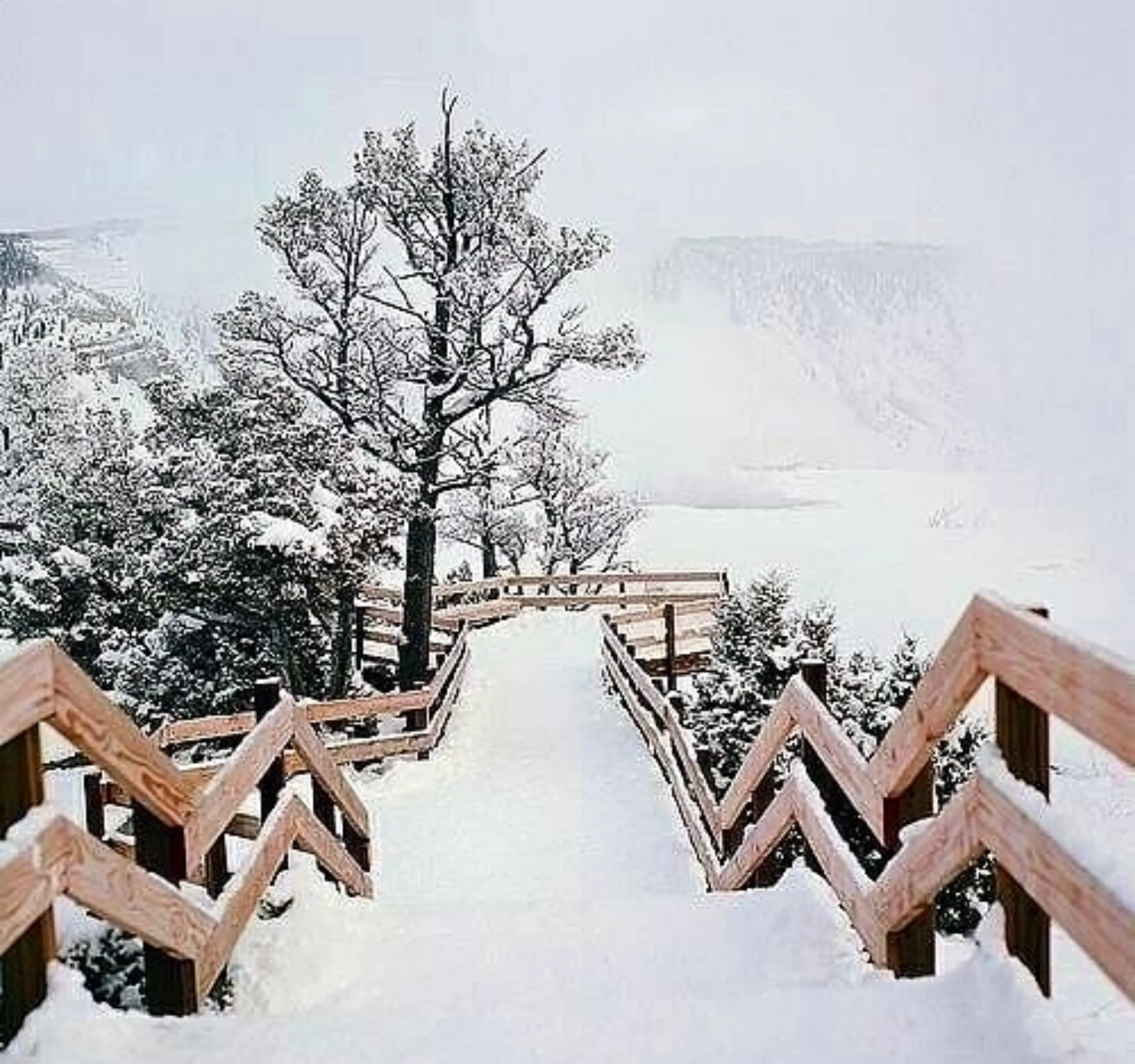 child to snowboarding