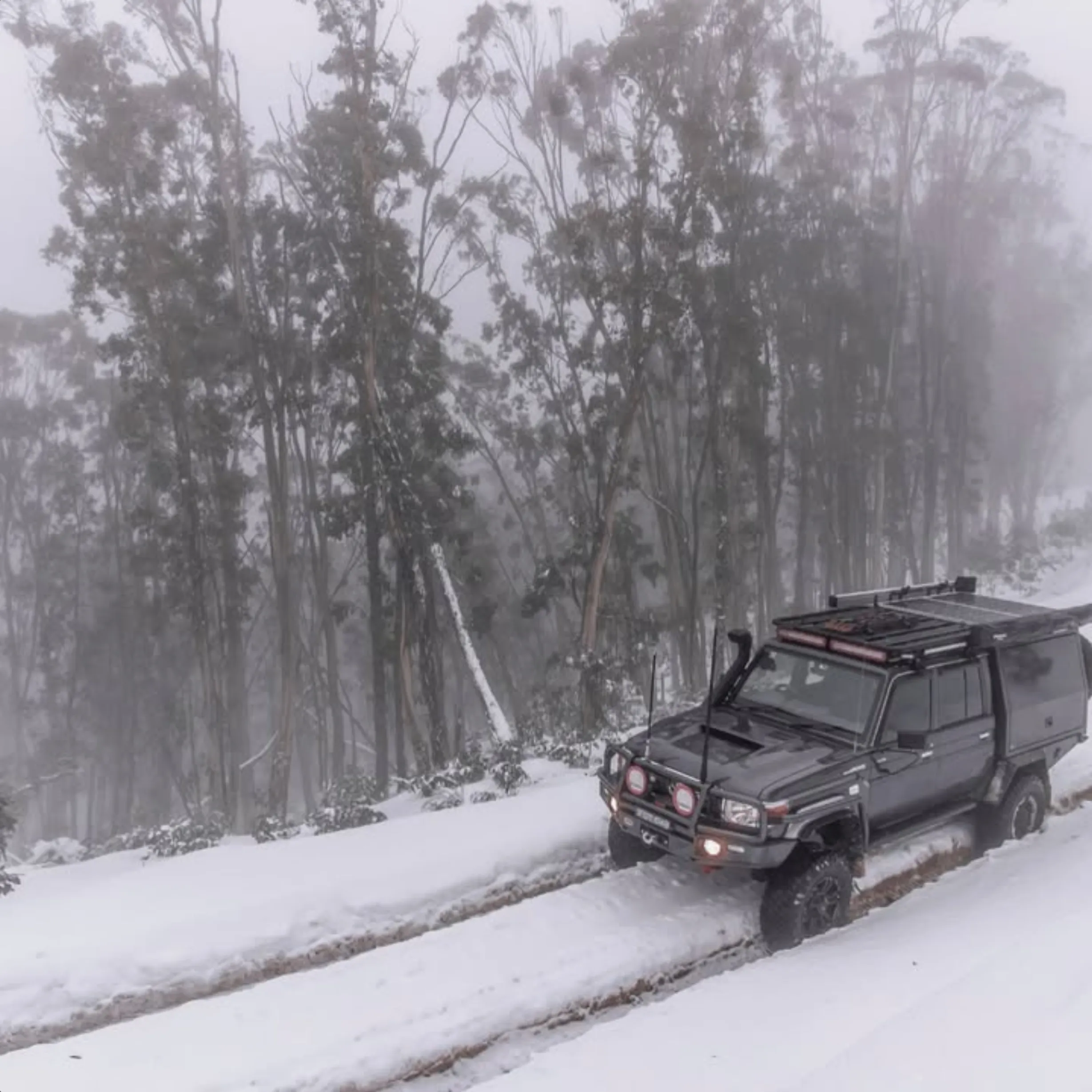 snow transport