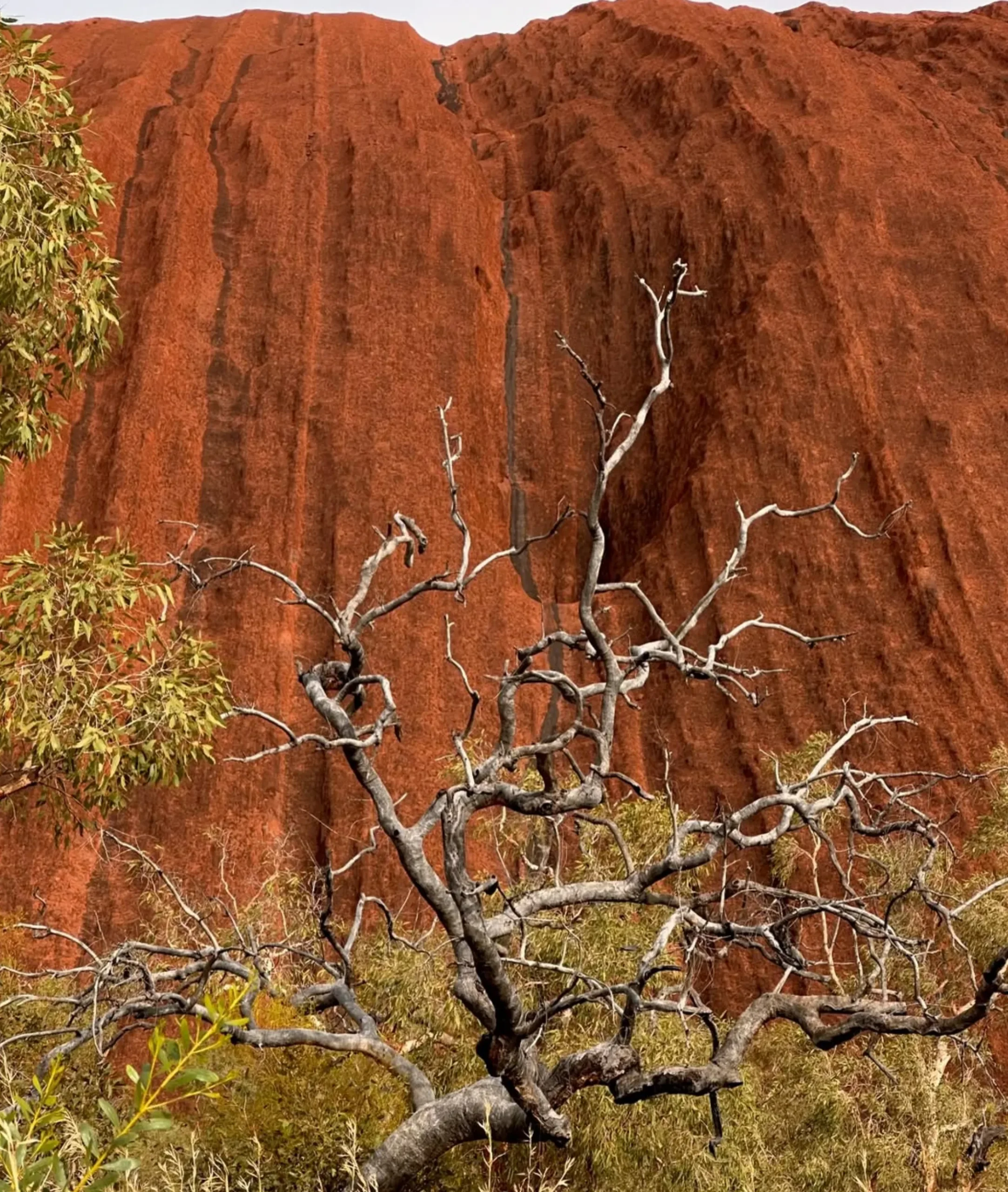 Kakadu National Park entry fee