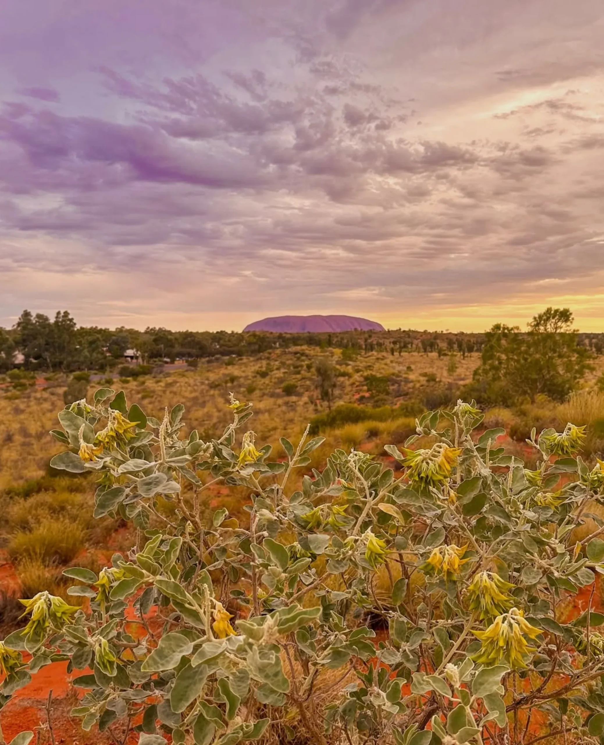 Northern Territory parks booking system
